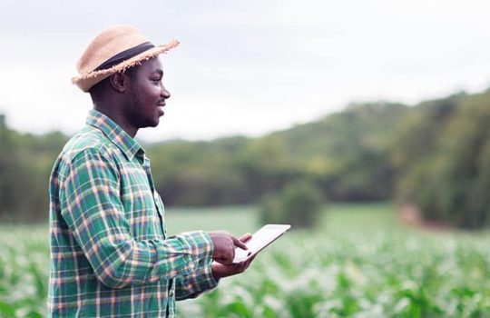 market-linkages-technology